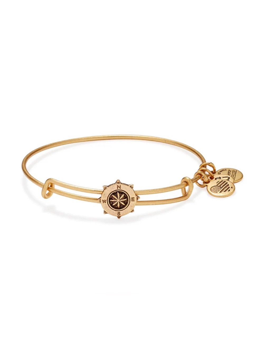 NWOT $28 ALEX AND ANI COMPASS SLIDER RAFAELIAN GOLD BANGLE